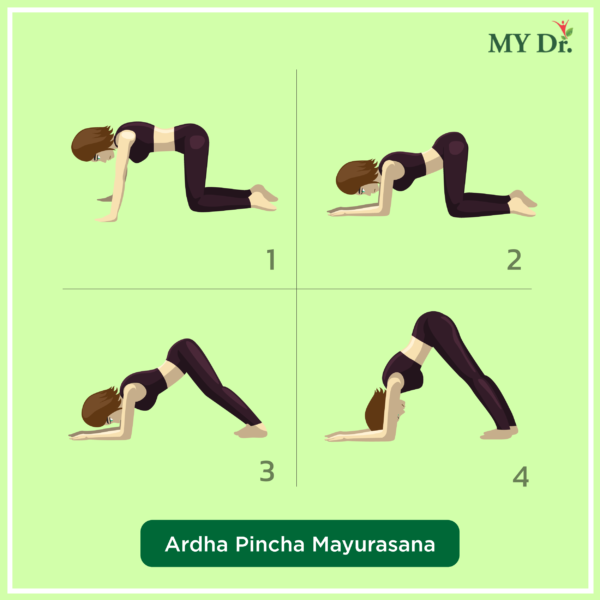 How to perform Ardha Pincha Mayurasana